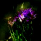 Danse avec les fleurs 